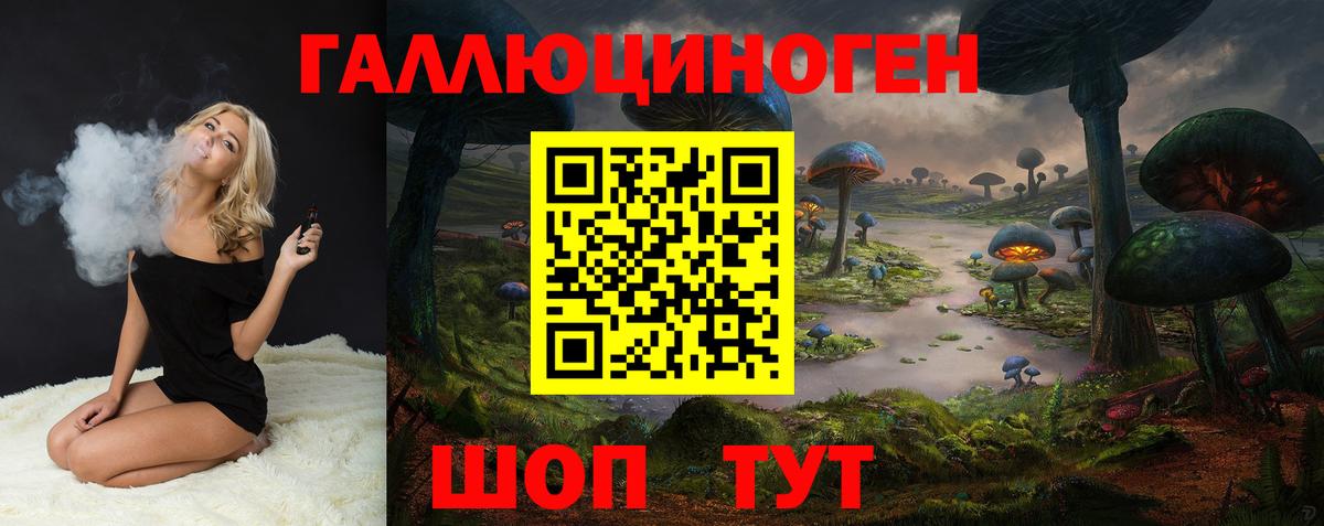 Галлюциногенные грибы Psilocybine cubensis Гусиноозёрск